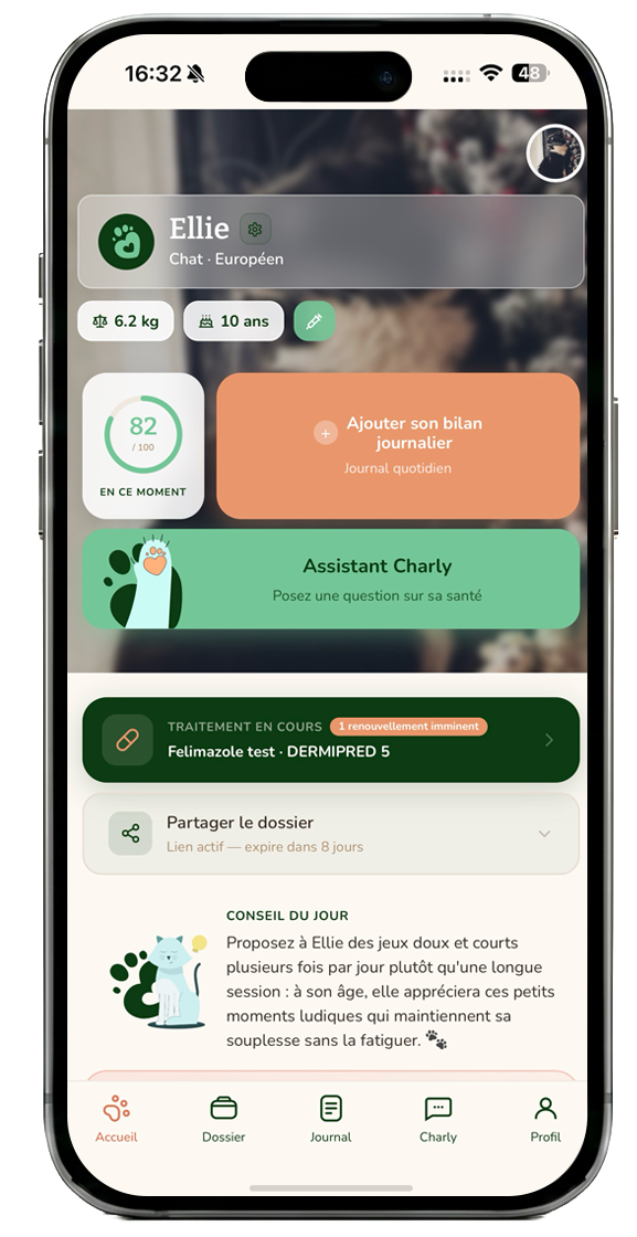Aperçu de l'application Charly